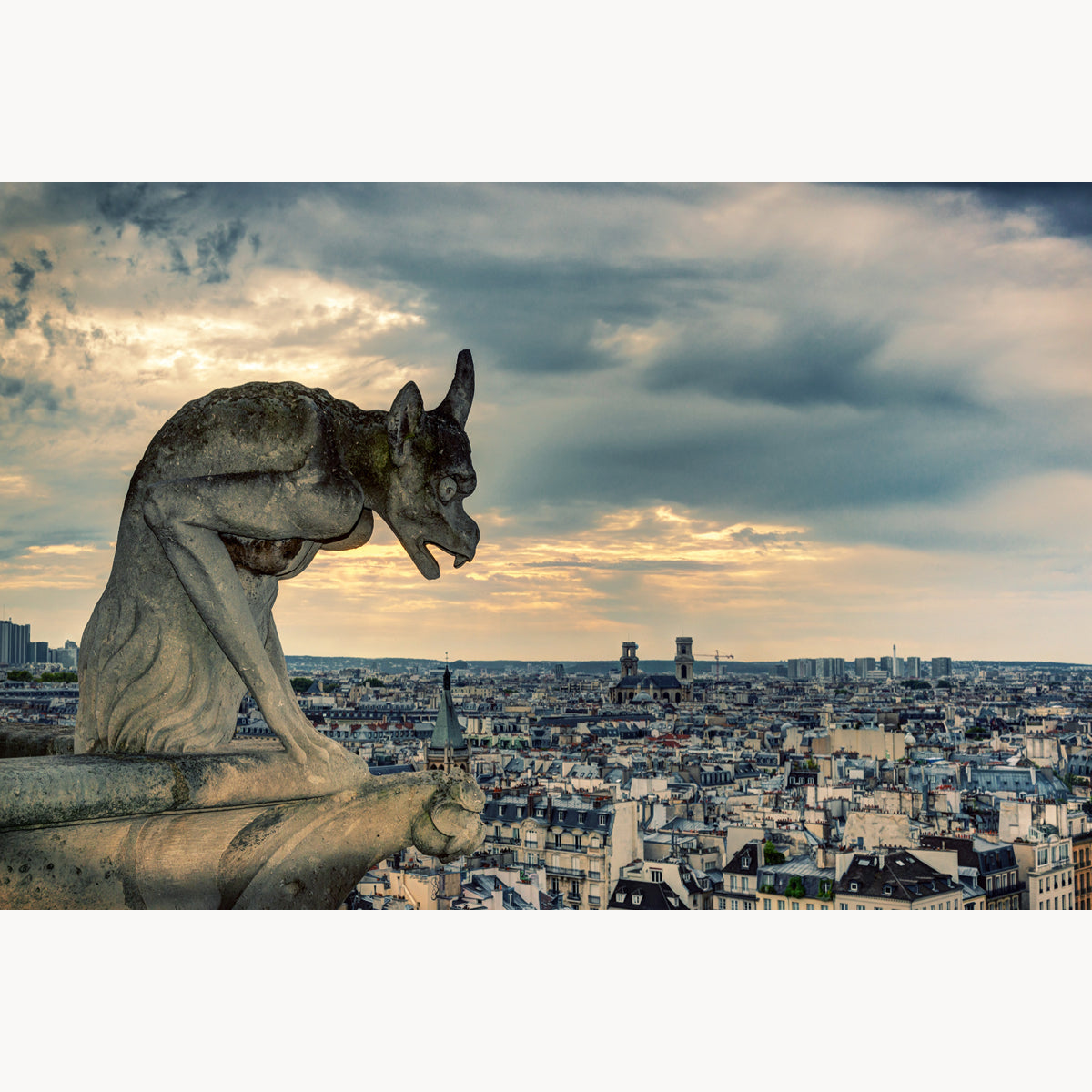 Gargoyle of the Notre Dame