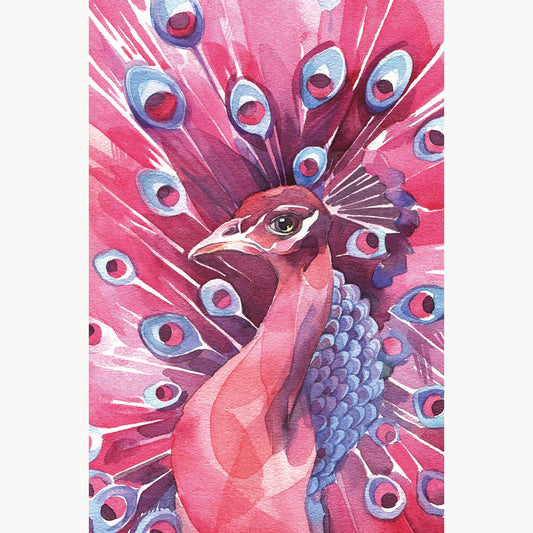 Pink Peacock