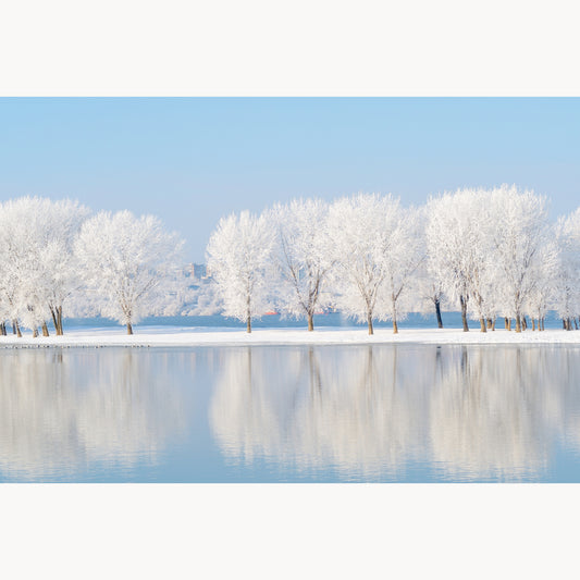 Winter Wonderland