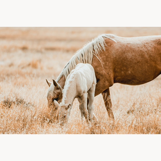 Maternal Bond