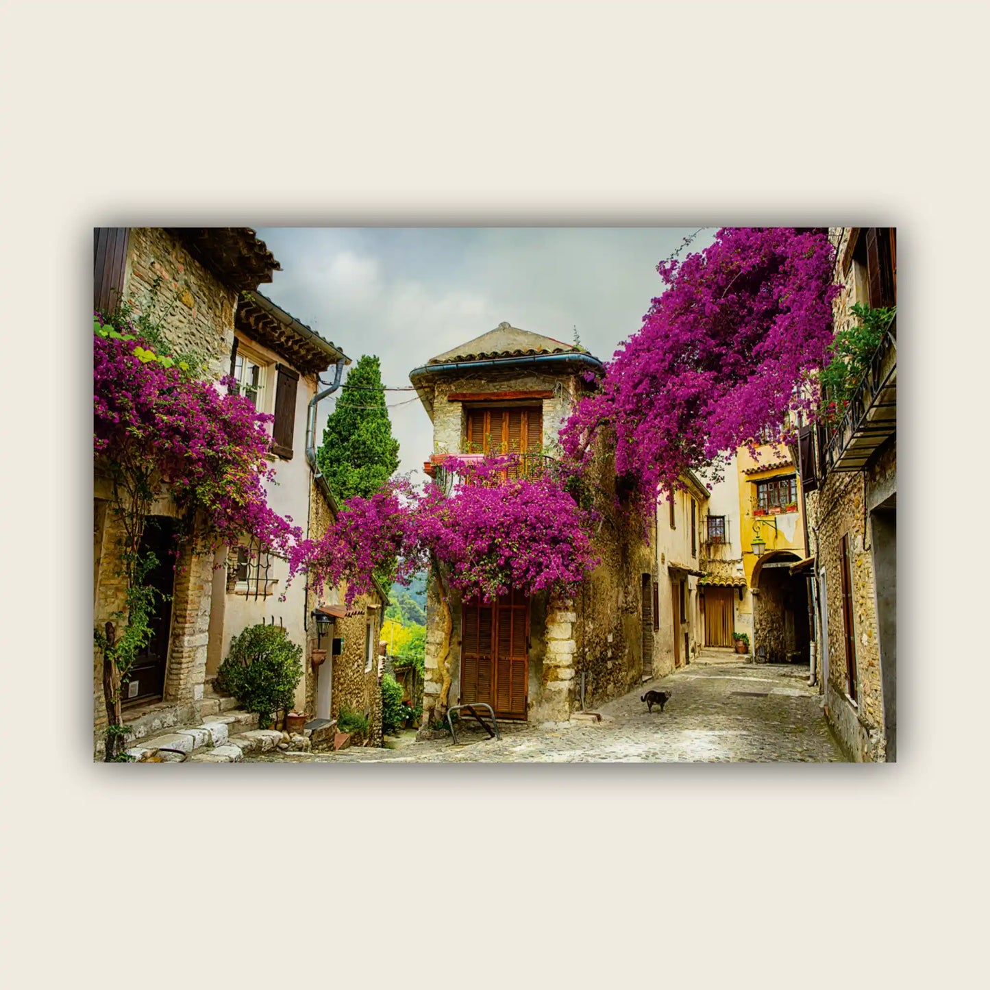 Old Town of Provence
