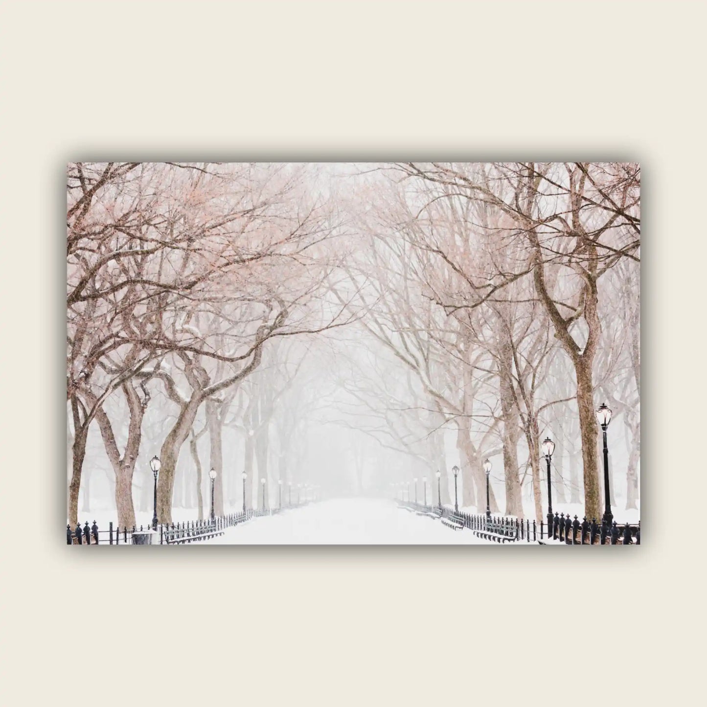 Central Park under Snow