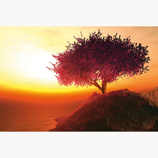 Lonely Cherry Blossoming Tree