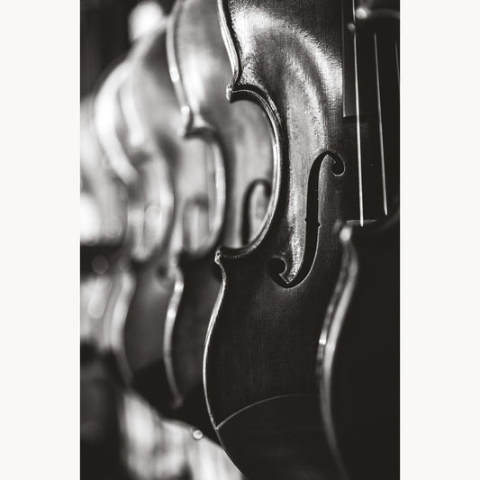 Violin