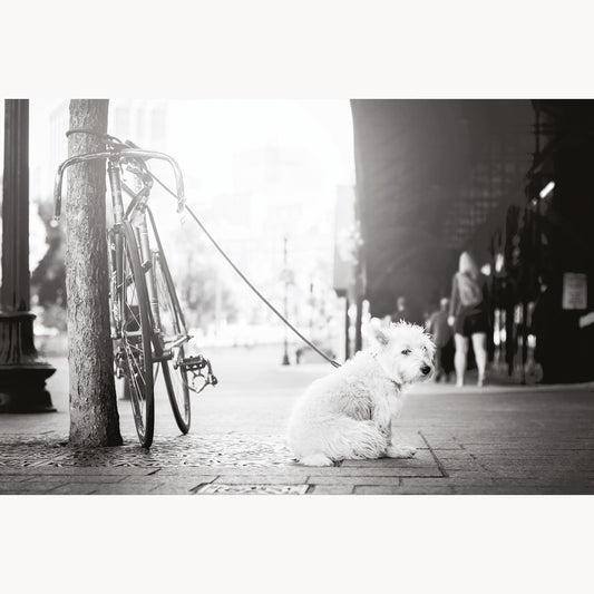 Waiting