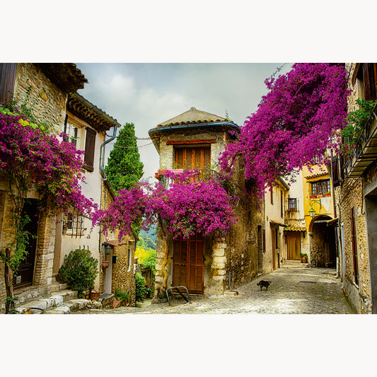 Old Town of Provence
