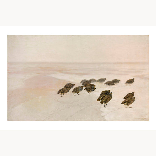 Partridges in the Snow