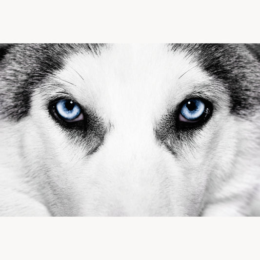 Behind Blue Eyes