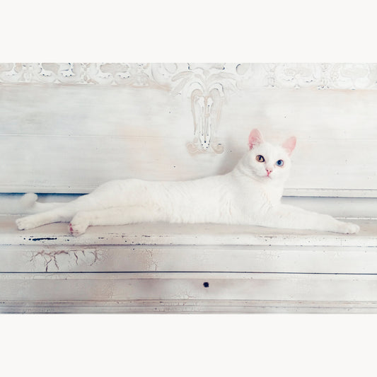 Heterochromia