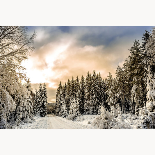 Covered in Snow