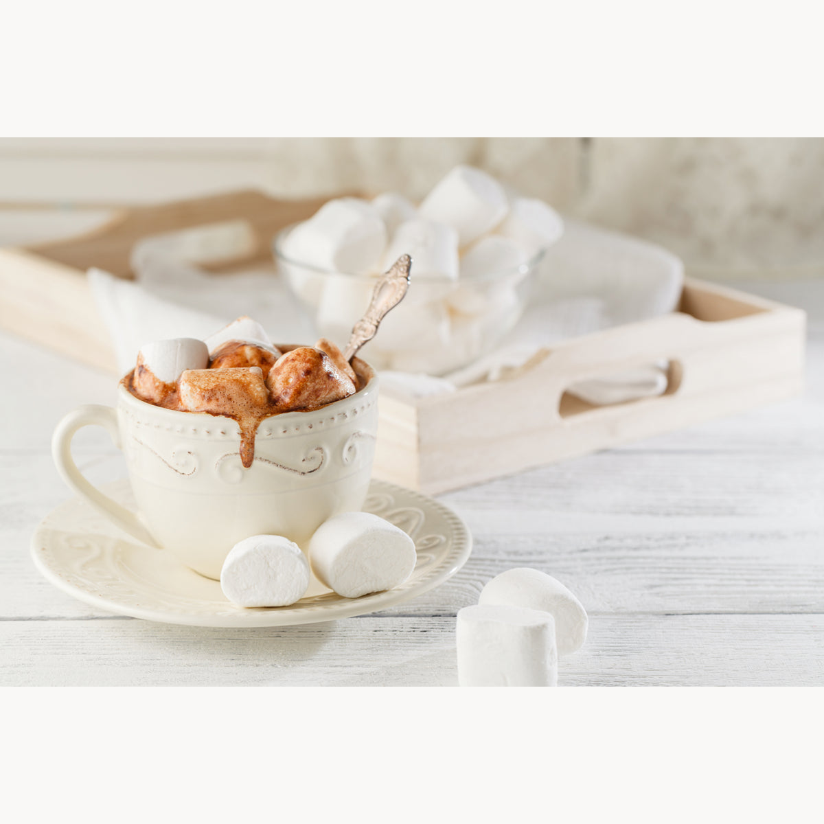 Hot Cocoa with Marshmallow