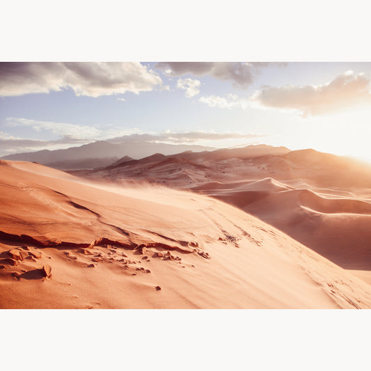 Windy Desert