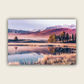 Mirror Surface of a Lake
