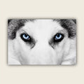 Behind Blue Eyes