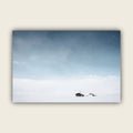 Horizon of Snow