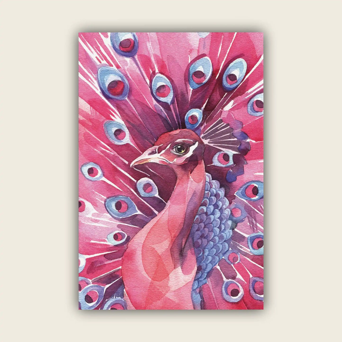Pink Peacock