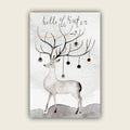 Winter Time