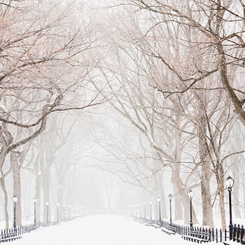 Central Park under snow