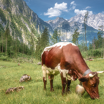 Berchtesgaden National Park