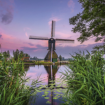 Miasteczko wiatraków w Kinderdijk