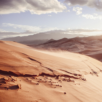 Windy desert