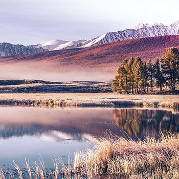 Mirror surface of a lake